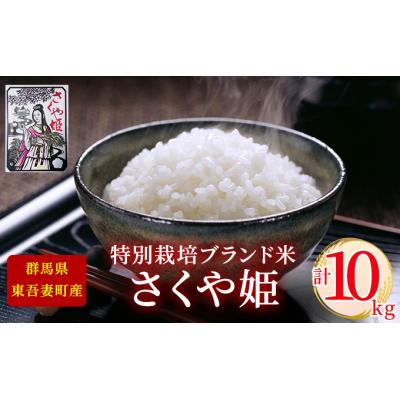 ふるさと納税 東吾妻町 【東吾妻町産】特別栽培ブランド米 さくや姫 10kg(5kg×2袋)[No.5819-0345] |  | 01