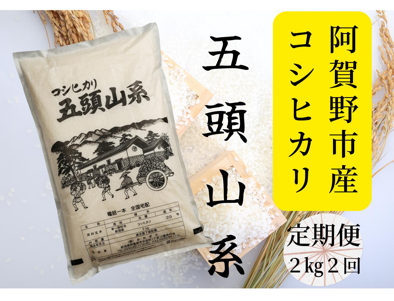 
                  【令和7年産】【2回定期便】「米屋のこだわり阿賀野市産」コシヒカリ2kg×2回 新潟県 米 こめ コメ 白米 精米 1E04011
                