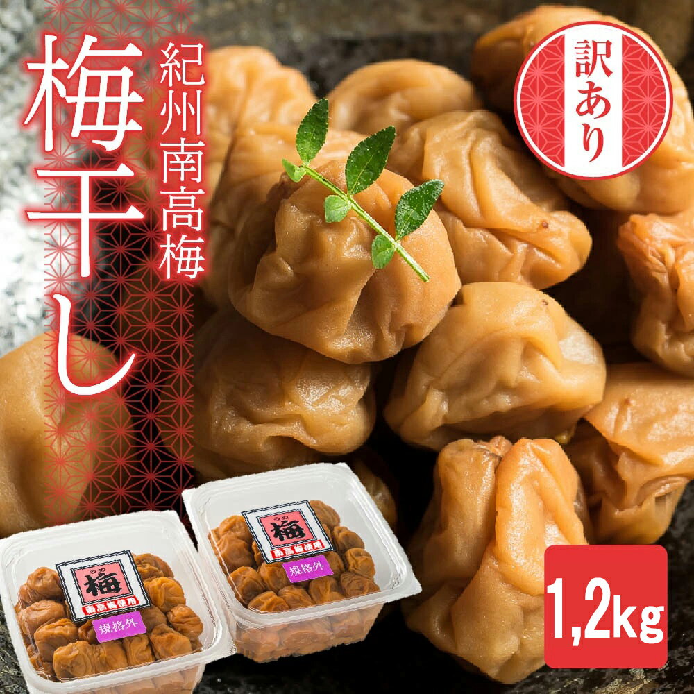 【ふるさと納税】【規格外】キズ・やぶれ有り！紀州南高梅 まろやか梅干し 大容量1.2kg（600g×2パック）訳あり ご家庭用 完熟 大粒 小粒 小分け II-72