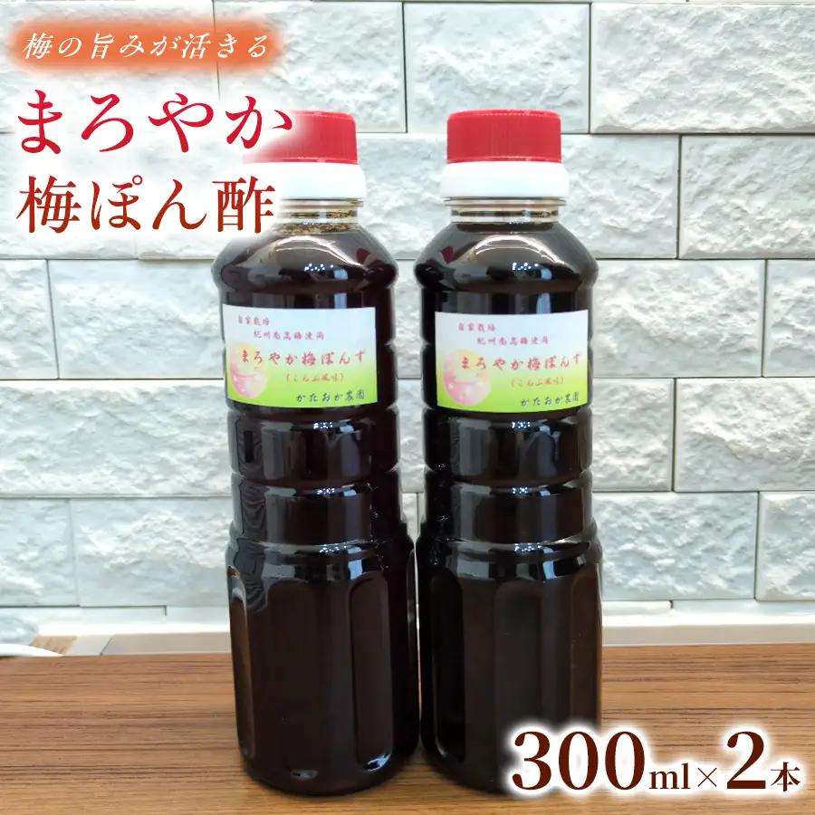 【2026年6月以降発送予定】 さっぱりなのにコクがある まろやか梅ぽんず　300ml（2本入）｜梅ぽん酢 ぽん酢 ポン酢 梅酢 お酢 梅加工品 国産 無添加 無着色 自然発酵 手作り こだわり 大容量 家庭用【ktok006】