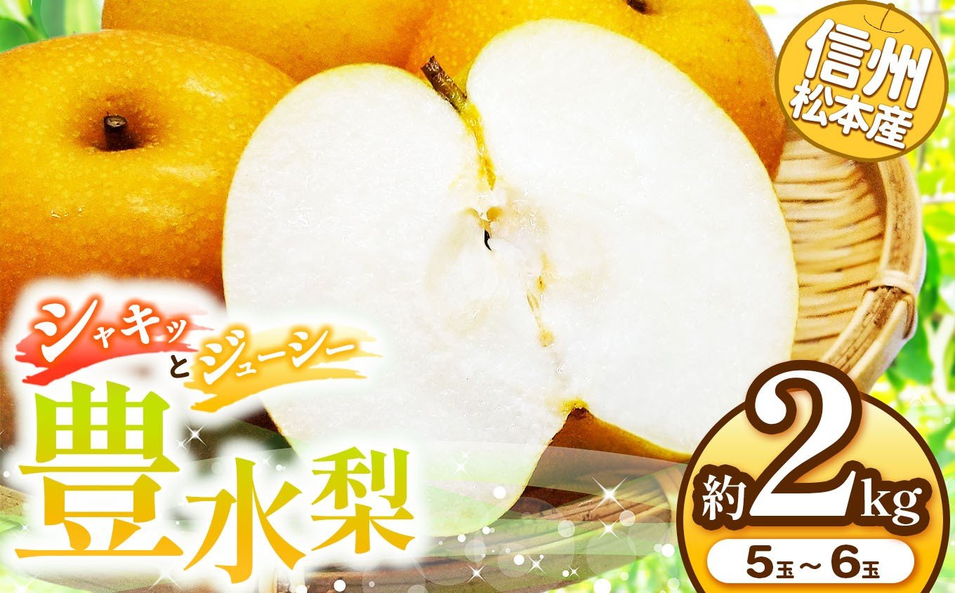 
            【先行受付：2026年発送】信州松本産　豊水梨　5～6玉約2kg │ 梨 なし ナシ 豊水 豊水梨 果汁 果物 秋 くだもの フルーツ 自然 旬 ご褒美 長野県 信州 松本 ふるさと納税
          