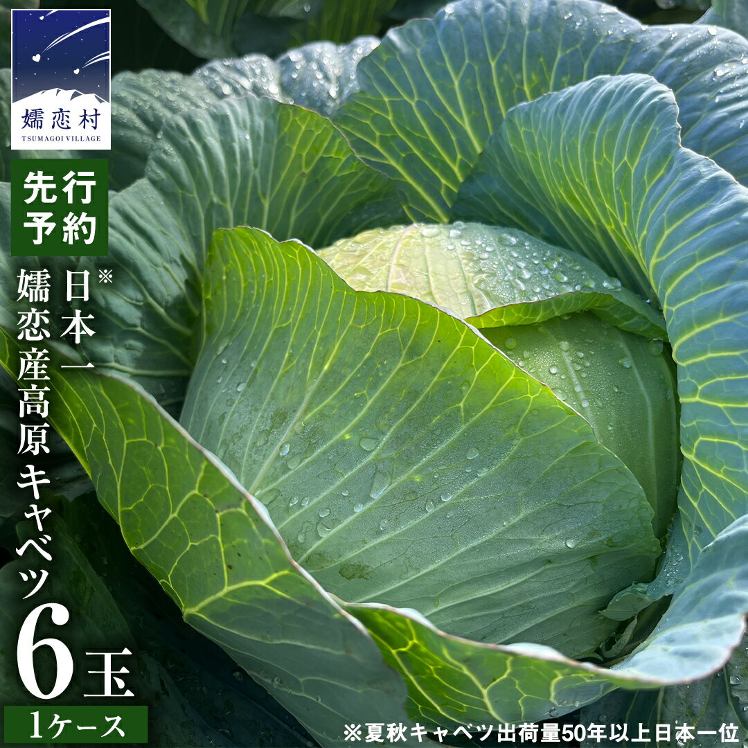 【ふるさと納税】 嬬恋キャベツ 6玉 【7月上旬以降発送開始】 嬬恋産 高原 キャベツ 6玉 1ケース 先行予約 2025年発送 旬の野菜 きゃべつ 産地直送 群馬 お取り寄せ 野菜 セット Lサイズ ZIP!