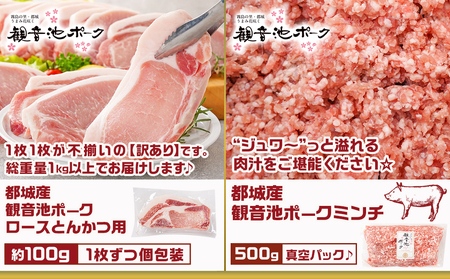 豚肉バラエティ6種4.1kgセット※訳あり入り_AC-9218_(都城市) 都城産豚 観音池ポーク ロース・肩ロースしゃぶしゃぶ用/ミンチ/スペアリブ/【訳あり】ロースとんかつ用 訳あり 宮崎県産豚切