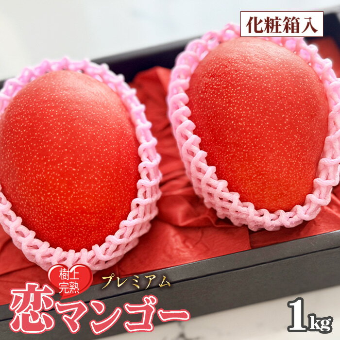 【ふるさと納税】No.218 プレミアム樹上完熟　恋マンゴー約1kg（化粧箱入） ／ 果物 フルーツ デザート 南国 コク 甘み 特産品 送料無料 愛知県