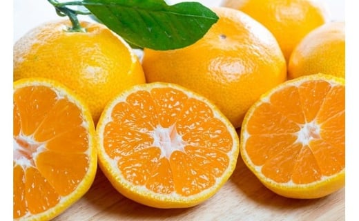 N-44 大鋸農園の甘果坊 １０ｋｇ