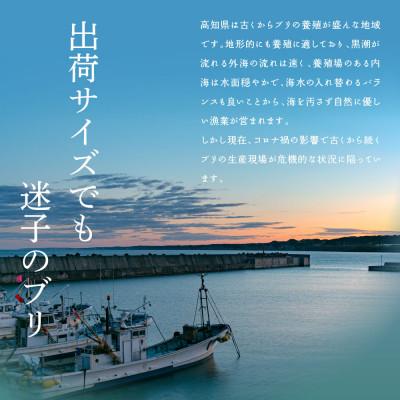 ふるさと納税 芸西村 高知の海鮮丼の素「ブリの漬け」1食80g×10Pセット 【コロナ応援企画】 |  | 01