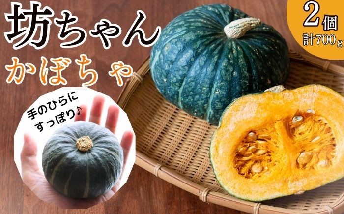 
                  坊ちゃんかぼちゃ 2個 700g 【産業開発】 かぼちゃ カボチャ 南瓜 産直 サラダ グラタン スープ ポタージュ プリン コロッケ 天ぷら 煮物 シチュー ドリア リゾット カレー キッシュ パイ タルト ケーキ マフィン パン 岩手県 野菜 人気 オススメ おすすめ
                