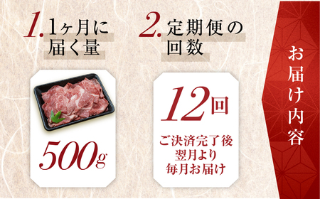 トキノ屋食品 A5等級 飛騨牛切り落とし 500g 12回お届け定期便[mt410]