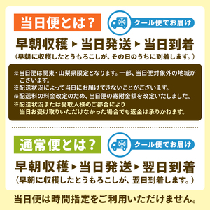 【当日便】【先行受付 2026年6月20日頃～8月上旬発送予定】早朝収穫！とうもろこし10～12本（味甘ちゃん・みかんちゃん）【関東+山梨へのお届け】 mi0046-0005