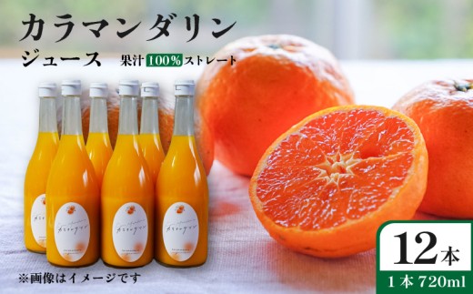 【2026年6月下旬頃から順次発送】カラマンダリン ジュース 果汁100％ 720ml×12本 | ストレート 無添加 みかん カラマンダリン 温州みかん キングマンダリン 果汁100 オーガニック 無添加 ストレートジュース 数量選択可 みかんジュース 果汁100% みかんジュース ジュース 柑橘 果汁飲料 みかんジュース NPO法人農音 愛媛県 松山市 中島