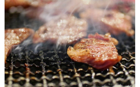 ▼熊野牛 リブロース 焼肉用 500g　国産牛 焼肉 BBQ ブランド牛 【mtf310-rib-500B】