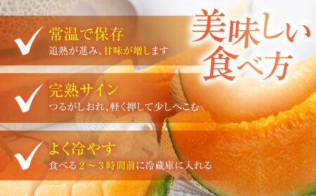 【2025年8月以降順次発送】 赤肉メロン 2kg×2玉 《喜茂別町》【Aコープようてい】 メロン メロン メロン メロン メロン メロン  [AJAK024]