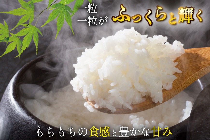 【CF01】米 令和7年産 宮城県産 とまたんのひとめぼれ 10kg (5kg×2袋) [サンフレッシュ小泉農園 宮城県 気仙沼市 20565647] 新米 ひとめぼれ ブランド米 白米 精米 ご飯 ごはん コメ こめ お米 小分け 家庭用