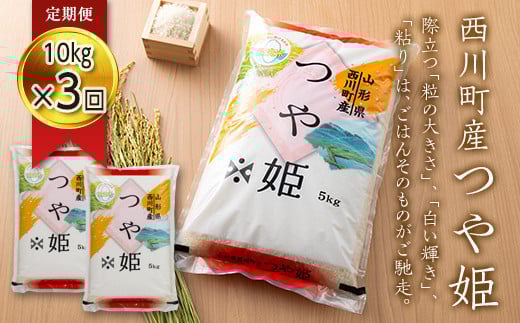 FYN6-276 【定期便3回】令和7年度 山形県 西川町産 無洗米 つや姫 10kg(5㎏×2)×3回 合計30kg  精米 白米 米 こめ ライス ごはん ご飯 ブランド米 銘柄米 家庭用 自宅用 贈答用 お取り寄せ 定期便 定期 毎月 食品 時短 節水 2025年 西川町 月山