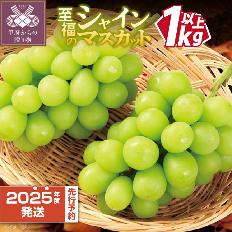 【ふるさと納税】楽天限定 ★総合1位獲得★ 山梨県産 シャイン 2025年度 先行予約 シャインマスカット 甲府 市産 ぶどう フルーツ 人気 ランキング 果物 2房 冷蔵 1kg以上 種なし 大粒 高級 甘い フルーツ王国 山梨 【2025年8月中旬～9月下旬頃にかけて順次発送】 k245-002