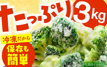 冷凍ブロッコリー 3kg 池田海陸物産 [SEW007] ブロッコリー