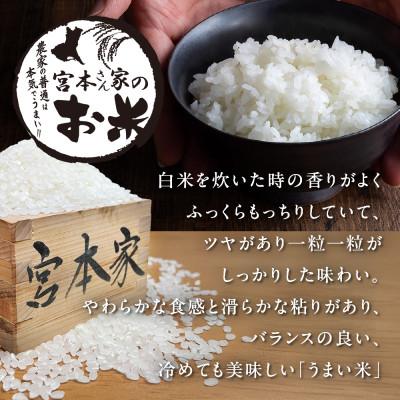 ふるさと納税 稲敷市 〈令和7年産〉茨城県稲敷市産コシヒカリ 精米10kg |  | 01