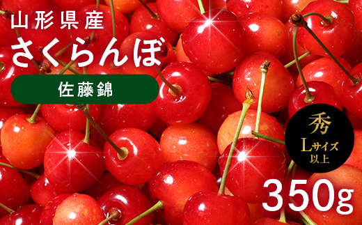 FYN6-614 ≪2027年先行予約≫山形県産 さくらんぼ 佐藤錦 350g 秀品 L以上 バラパック詰め 2027年6月中旬から順次発送 果物 くだもの フルーツ サクランボ チェリー 贈答 贈り物 ギフト プレゼント 自宅 家庭 産地直送 山形県 西川町 月山