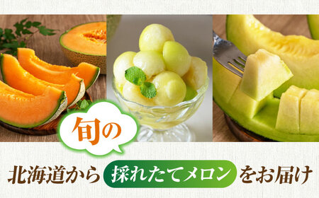 【ニセコ町産】赤肉＆青肉メロンセット２玉  化粧箱入り 2024年発送