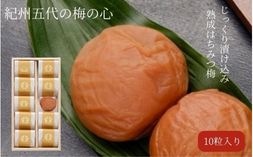 紀州五代梅の心　10粒　azmn008B