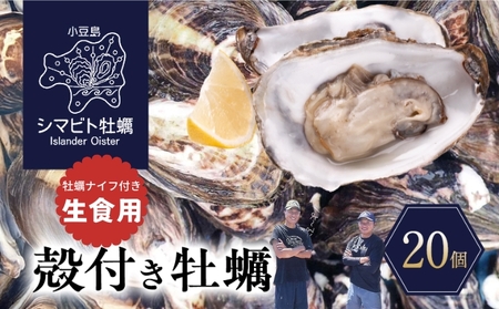 【ふるなびWEEK対象】【小豆島】小豆島産 シマビト牡蠣　生食用殻付き牡蠣　20個　2026年1月より随時発送 牡蠣 カキ 生牡蠣 生食用 殻付き 香川県 小豆島