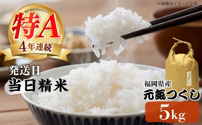 令和7年産【特A】評価のお米「元気つくし」5kg×1袋 [5kg] [白米]《築上町》【株式会社ベネフィス】[ABDF201]