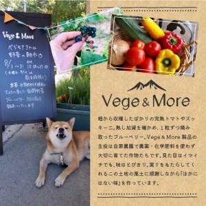 八ヶ岳高原野菜つぶつぶケチャップ6本セット [h120]