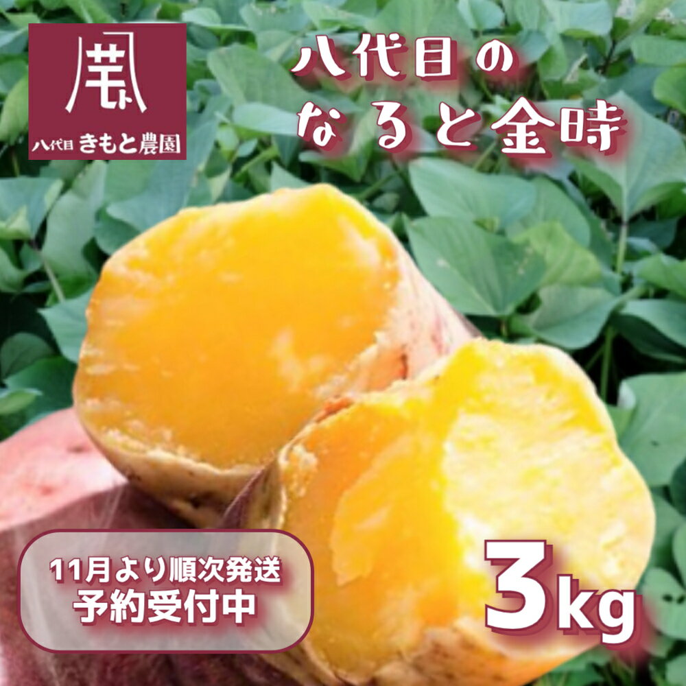 【ふるさと納税】【予約受付中・2025年11月頃より順次発送】 【木元農園】八代目の なると金時 約3kg ｜ 鳴門金時 甘い ホクホク 熟成 国産 鳴門 産地直送 スイーツ おやつ 焼き芋 焼芋 焼きいも 天ぷら 干し芋 スイートポテト 離乳食