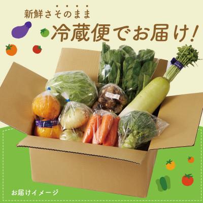 ふるさと納税 泉佐野市 【毎月定期便】泉州野菜 7種 詰め合わせ 国産 新鮮 冷蔵発送 全12回 099Z188 |  | 01