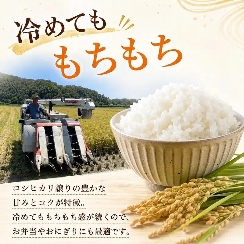 ひのひかり 玄米 新米 5kg 2026年産［1120-2］