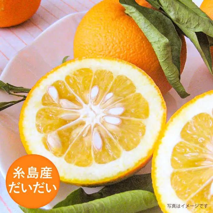 糸島産だいだいとゆずのお酒 500ml×4本セット 糸島市 / 山口食品工業株式会社[ABI003] 12000円 常温