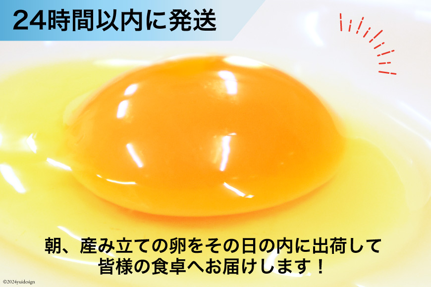 BI036 12回 定期便 雲仙たまごLサイズ  80個 (10個入り×8パック)(75個＋割れ補償5個入り) [ 卵 たまご 生卵 鶏卵 赤卵 玉子 新鮮 塚ちゃん雲仙たまご村 長崎県 島原市 ]