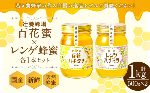 
辻養蜂場 百花蜜 レンゲ蜂蜜 500g×各1本 計1kg はちみつ
