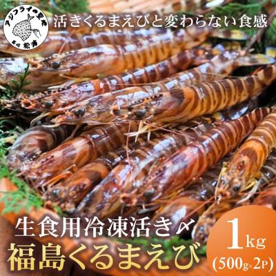 ふるさと納税 松浦市 生食用 瞬間冷凍活き〆福島くるまえび1kg(500g×2P)