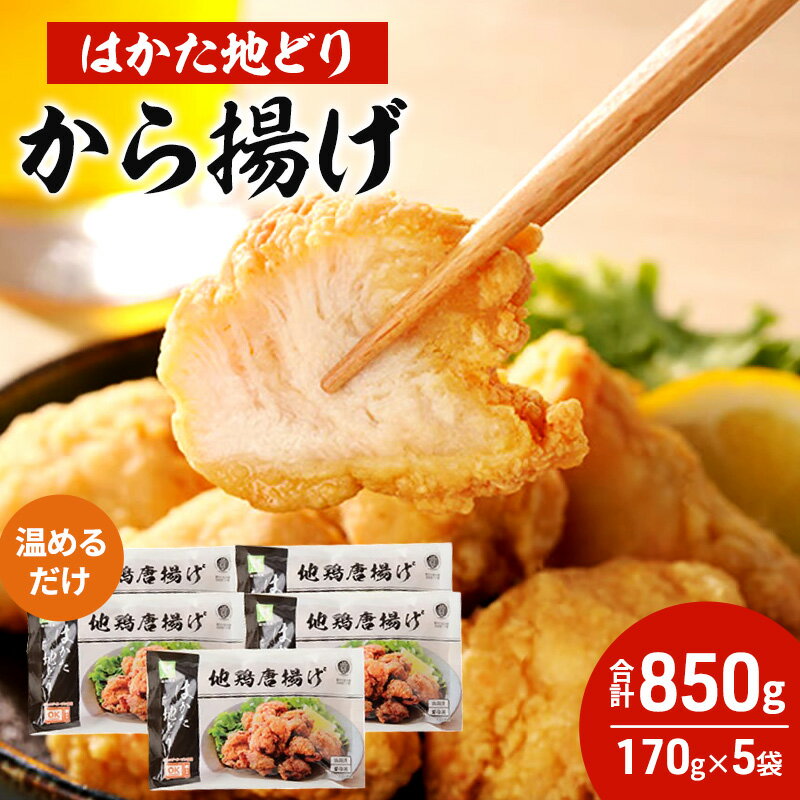 【ふるさと納税】はかた地どり から揚げ 5セット 温めるだけ 唐揚げ 鶏肉 お肉 レンジ 調理 ※配送不可：離島