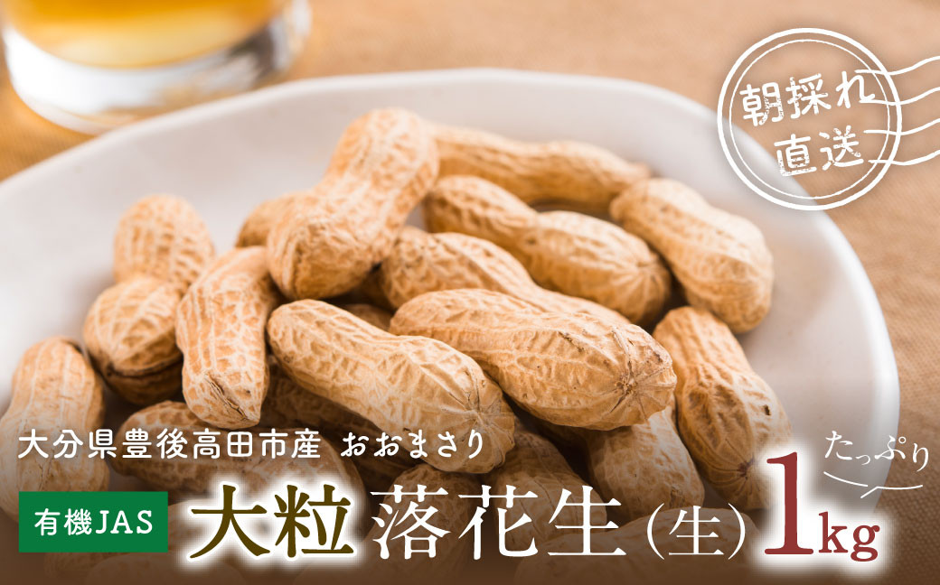 
            【先行予約】有機栽培で育てた大粒落花生1kg（おおまさり）
          