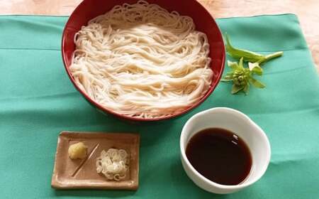 生そうめん 100g×5人前×2セット 