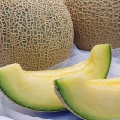 【令和5年 品質優良賞受賞】メロンの王様!イバラキング【特秀】2玉【配送不可地域：離島・沖縄県】