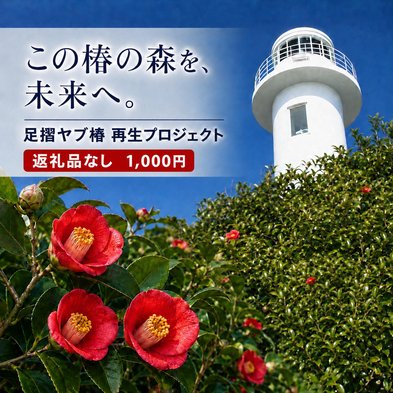 
                  足摺ヤブ椿再生プロジェクト 応援一口 1,000円（300円分）※返礼品なし※ 自然保護 椿 つばき ツバキ 藪椿 ヤブツバキ クラウドファンディング 募金 環境保護 SDGs 高知県【R01750】
                