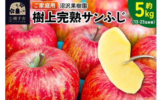 【先行受付】12月上旬より発送 樹上完熟サンふじ ご家庭用 約5kg（13～23玉前後） [先行予約 サンふじ サンフジ 林檎 リンゴ 家庭用 不揃い おまかせ 【りんご】特集]