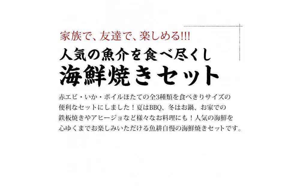 海鮮 バーベキュー セット 3種30品 海鮮セット BBQセット 帆立 エビ イカ