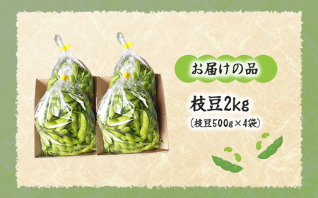 【先行予約】【2026年8月中旬より順次発送】枝豆2kg NAZ021