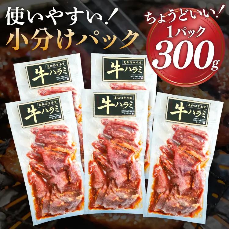特製タレ漬 牛ハラミ 計1.5kg(300g×5p) ハラミ 