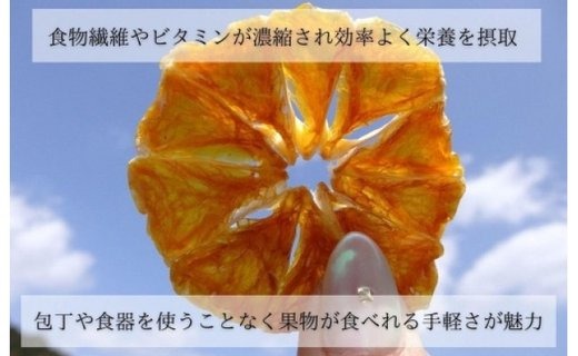 まんまみかんチップ 200g（20g×10袋）無添加 保存料不使用