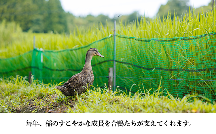 【令和8年産　先行受付】無農薬栽培 合鴨米ひのひかり(玄米)5kg TF0424-P00029