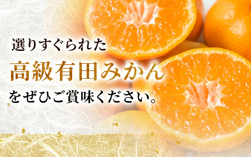 みかん 【先行予約】 ＼光センサー選別／極 有田みかんプレミアム 約5kg【光センサー 高糖度選別品】2S～Lサイズ 有機質肥料100% ※2025年11月下旬頃～2026年1月上旬頃に順次発送予定 