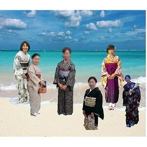 ヨロン島着物  留袖 他 着物一式(Ｂ)　【レンタル・チケット】
