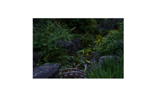 天理の風景5『 THE GARDEN OF DELIGHT 』A4額装プリント【1714816】