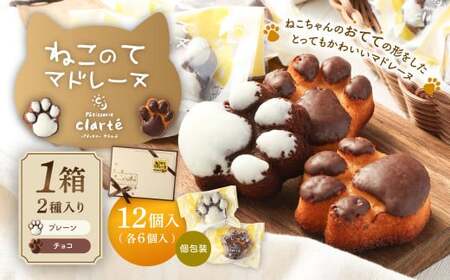 パティスリー・クラルテ特製 ねこのて マドレーヌ 1箱×12個入（プレーン6個・チョコ6個） スイーツ 焼菓子