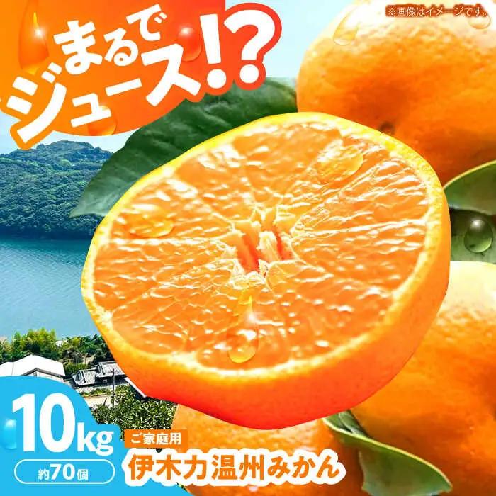 みかん10kg AHBD001 伊木力みかん